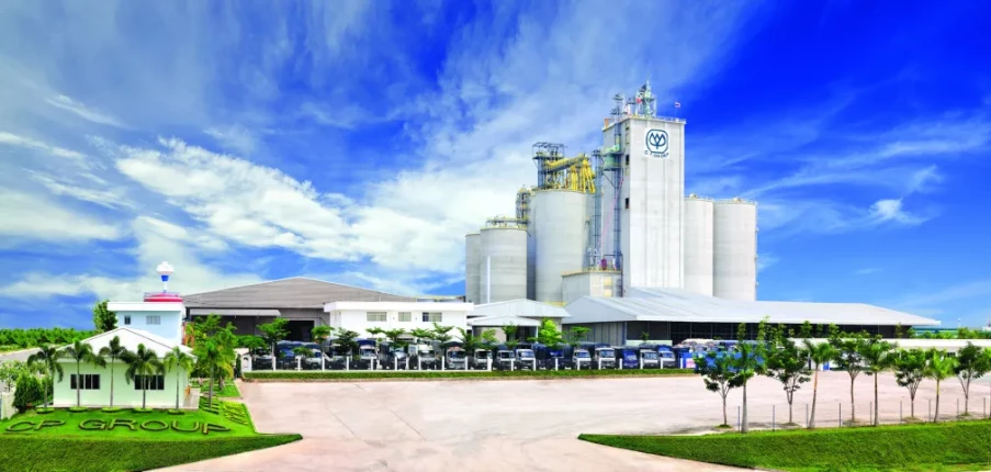 TOP 10 doanh nghiệp  xuất nhập khẩu thực phẩm đông lạnh uy tín hiện nay tại Việt Nam