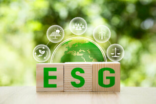 Top 10 doanh nghiệp Việt Nam thực hiện chiến lược ESG hiệu quả nhất năm 2025