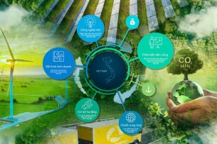 Top 11 doanh nghiệp chuyển đổi từ năng lượng hóa thạch sang năng lượng sạch thành công nhất