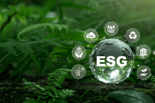 Top 8 đơn vị truyền thông chuyên về chiến lược thương hiệu xanh & ESG branding