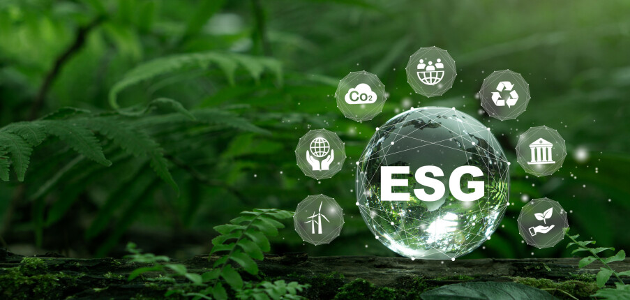 Top 8 đơn vị truyền thông chuyên về chiến lược thương hiệu xanh & ESG branding