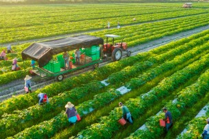 Xu hướng logistics nông sản xanh – giảm hao hụt, nâng cao giá trị xuất khẩu