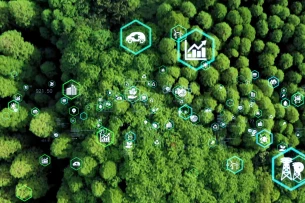 TOP 10 doanh nghiệp phát triển giải pháp logistics xanh bằng AI