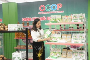 Top 10 sàn TMĐT chuyên về đặc sản vùng miền và sản phẩm OCOP Việt Nam