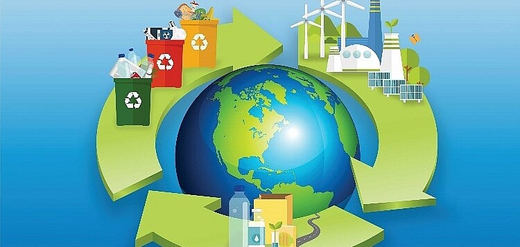 Top 10 sàn TMĐT có mô hình kinh doanh bền vững & thân thiện môi trường
