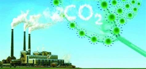 Top 8 công ty cung cấp giải pháp chuyển đổi xanh & giảm phát thải CO₂ cho chuỗi cung ứng TMĐT