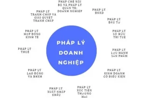 Top 10 doanh nghiệp tư vấn pháp lý cho startup công nghệ và nền tảng TMĐT mới nổi