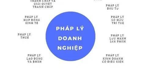 Top 10 doanh nghiệp tư vấn pháp lý cho startup công nghệ và nền tảng TMĐT mới nổi