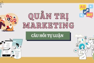 Mô hình Boston Consulting Group (B.C.G) trong Marketing | Câu hỏi tự luận ôn tập học phần Quản trị Marketing (2025)