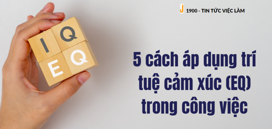 5 cách áp dụng trí tuệ cảm xúc (EQ) trong công việc