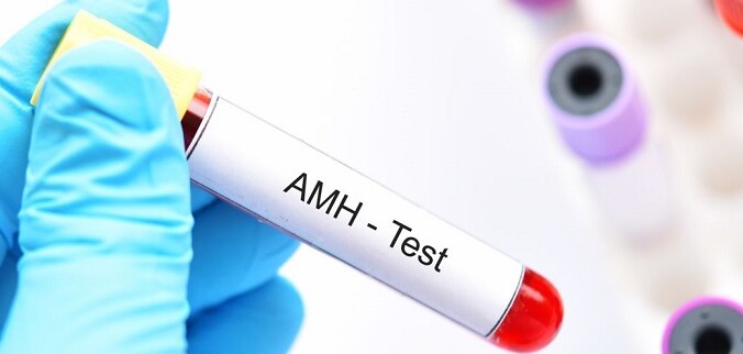 AMH là gì? Tại sao chỉ số xét nghiệm này quan trọng đến sức khỏe sức khỏe sinh sản của phụ nữ?