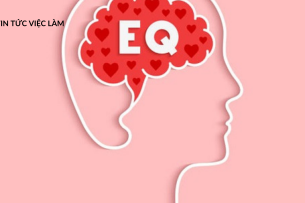 EQ là gì? Trí tuệ cảm xúc được xếp hạng ra sao?
