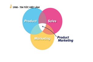 Marketing Product là gì? 6 công việc khi làm Tiếp thị sản phẩm