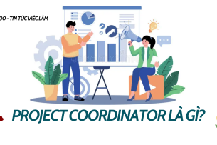 Project Coordinator là gì? Một số vị trí việc làm liên quan đến Điều phối dự án