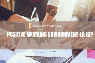 Positive Working Environment là gì? Cách xây dựng môi trường làm việc lành mạnh