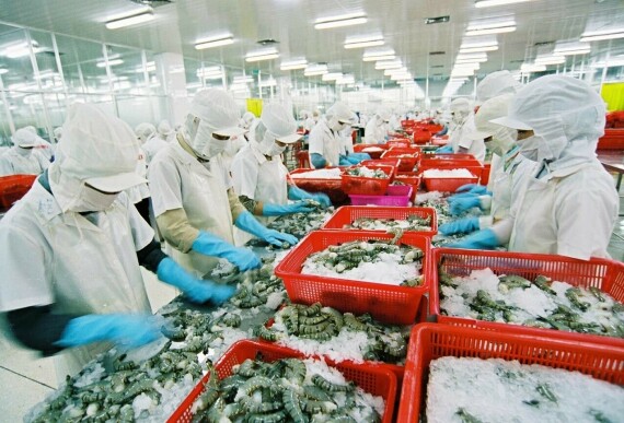 Tài liệu VietJack