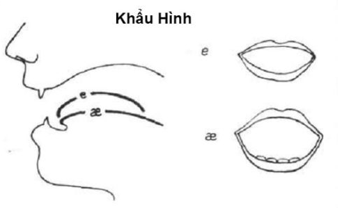 Tài liệu VietJack