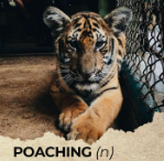 Tài liệu VietJack