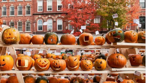 Tài liệu VietJack