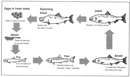 Tài liệu VietJack