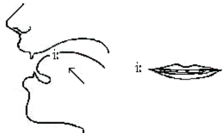 Tài liệu VietJack