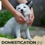 Tài liệu VietJack