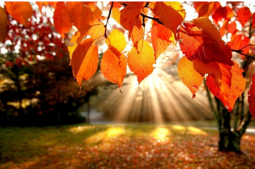 Tài liệu VietJack