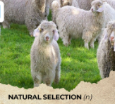 Tài liệu VietJack