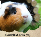 Tài liệu VietJack