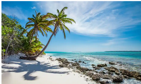 Tài liệu VietJack