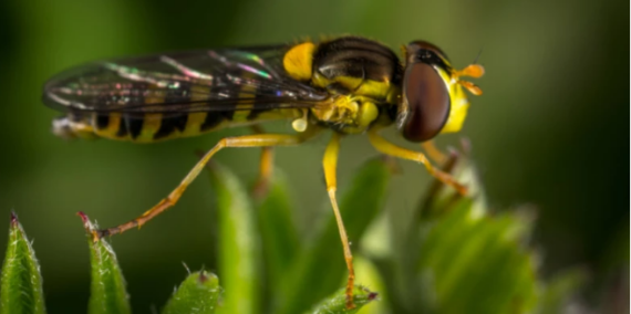 Tài liệu VietJack