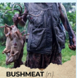 Tài liệu VietJack