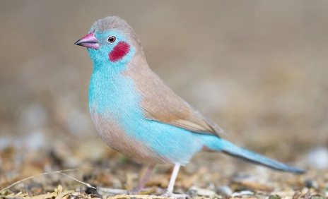 Tài liệu VietJack