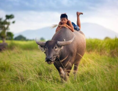 Tài liệu VietJack