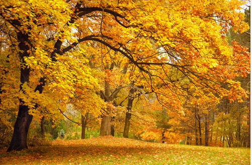 Tài liệu VietJack