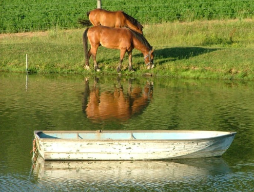 Tài liệu VietJack