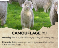 Tài liệu VietJack