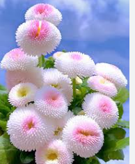 Tài liệu VietJack