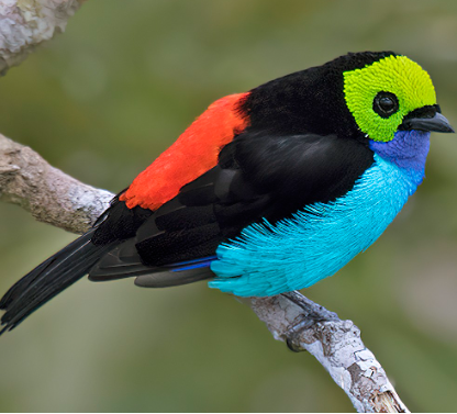 Tài liệu VietJack