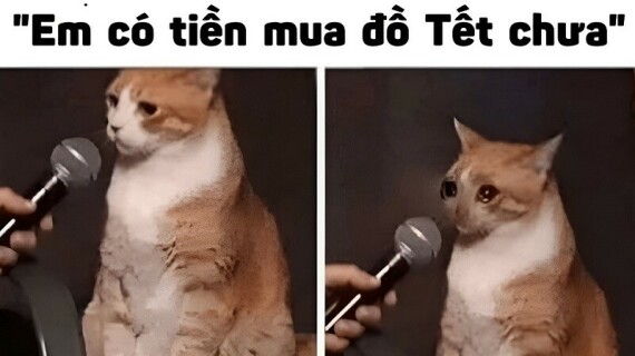 Tài liệu VietJack